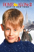 Home Alone 2: Lost in New York movie poster (1992) hoodie #1126194