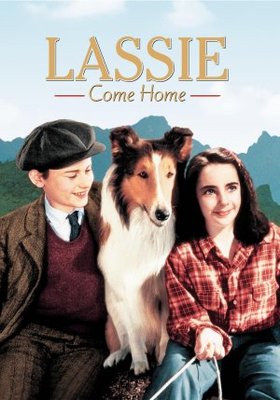 Lassie Come Home movie poster (1943) poster
