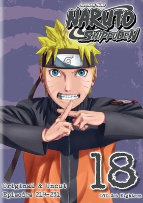 Naruto: ShippÃ»den movie poster (2007) hoodie