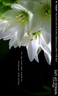 Pollen movie poster (2011) calendar