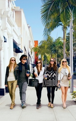The Bling Ring movie poster (2013) poster