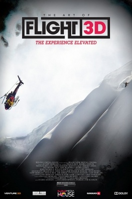 The Art of Flight movie poster (2011) calendar