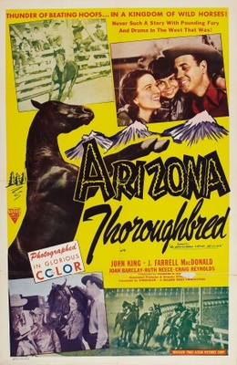The Gentleman from Arizona movie poster (1939) poster