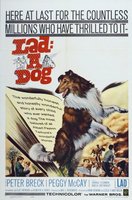 Lad: A Dog movie poster (1962) Poster MOV_a8f3de78