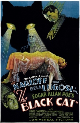 The Black Cat movie poster (1934) mug
