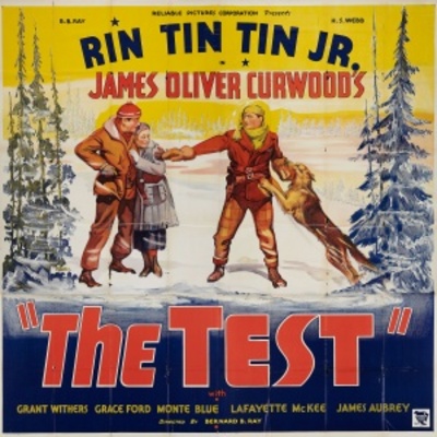 The Test movie poster (1935) mug