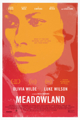 Meadowland movie poster (2015) poster