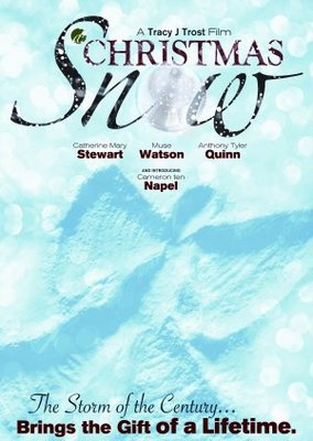 A Christmas Snow movie poster (2010) Poster MOV_aa5a50d9