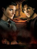 Supernatural movie poster (2005) t-shirt #MOV_abc33c21