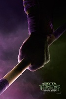 Teenage Mutant Ninja Turtles movie poster (2014) Poster MOV_abe40967