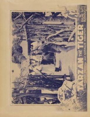 Tarzan the Tiger movie poster (1929) Poster MOV_ac2f357d
