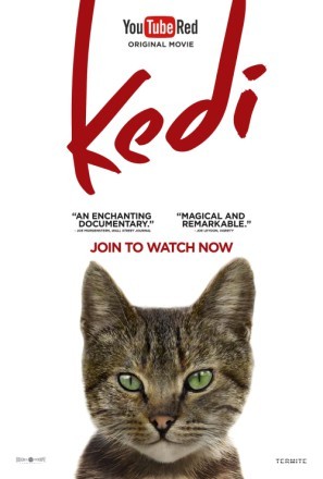 Kedi movie poster (2017) Poster MOV_aci4pykg