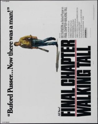 Final Chapter: Walking Tall movie poster (1977) Poster MOV_ae12df62