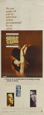 Splendor in the Grass movie poster (1961) Sweatshirt
