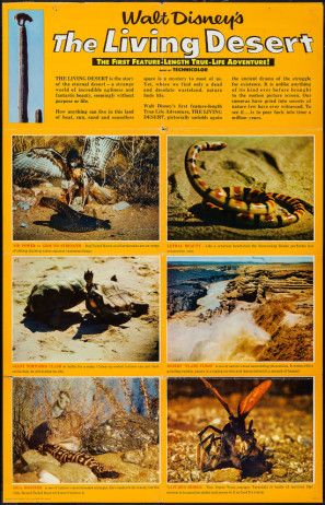 The Living Desert movie poster (1953) calendar