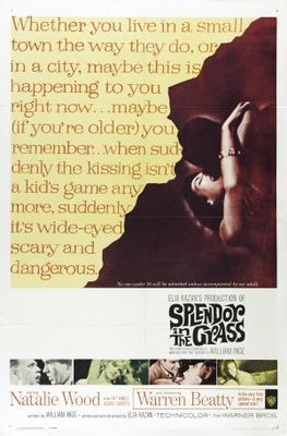 Splendor in the Grass movie poster (1961) poster