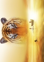 Life of Pi movie poster (2012) Tank Top #782729