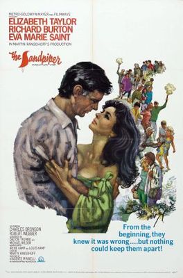 The Sandpiper movie poster (1965) calendar