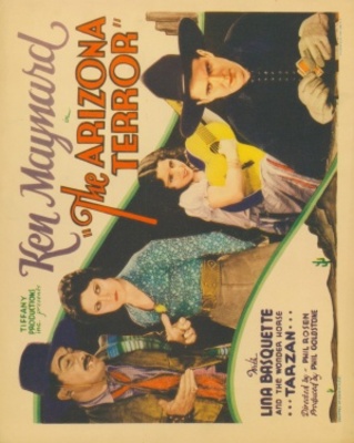 Arizona Terror movie poster (1931) poster