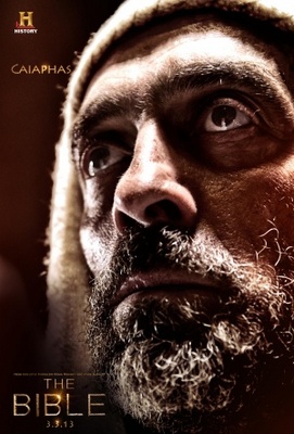 The Bible movie poster (2013) Poster MOV_b8e8fc85
