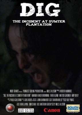 Dig: The Incident at Sumter Plantation movie poster (2013) Poster MOV_b9d00b22