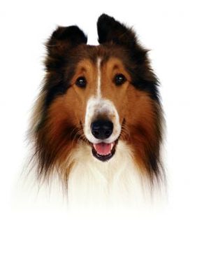 Lassie movie poster (2005) Longsleeve T-shirt