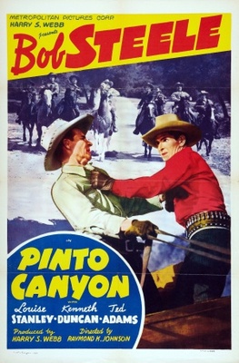Pinto Canyon movie poster (1940) mug