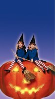 Double, Double, Toil and Trouble movie poster (1993) t-shirt #MOV_bfb797e4