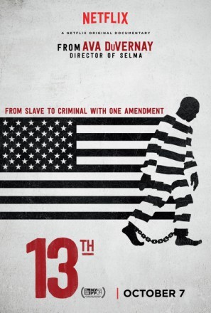 The 13th movie poster (2016) hoodie