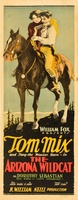 The Arizona Wildcat movie poster (1927) Poster MOV_c729ebd2