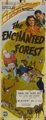 The Enchanted Forest movie poster (1945) poster