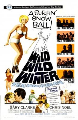 Wild Wild Winter movie poster (1966) Poster MOV_c84c6f26