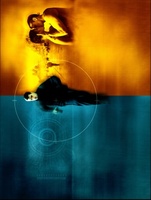 The Bourne Identity movie poster (2002) t-shirt #MOV_c96f8012