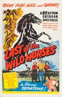 Last of the Wild Horses movie poster (1948) Poster MOV_cb46e7d9