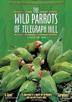 The Wild Parrots of Telegraph Hill movie poster (2003) Poster MOV_ce9966f8