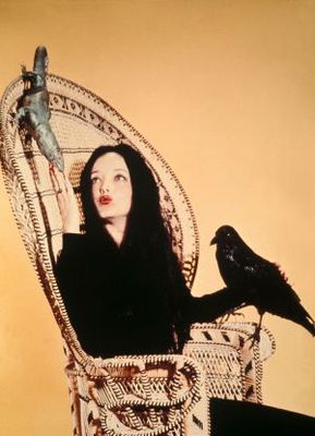 The Addams Family movie poster (1964) Poster MOV_d2659b7d