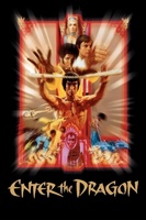 Enter The Dragon movie poster (1973) t-shirt #MOV_d30ce8f8