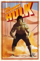 The Incredible Hulk movie poster (1978) t-shirt #MOV_d605bf9f