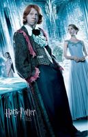 Harry Potter and the Goblet of Fire movie poster (2005) Poster MOV_d6ce75a7