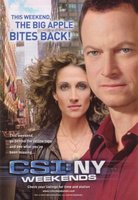 CSI: NY movie poster (2004) Poster MOV_d83807ba