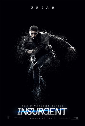 Insurgent movie poster (2015) Poster MOV_d8e1abcs