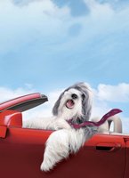 The Shaggy Dog movie poster (2006) Poster MOV_daf4c79c