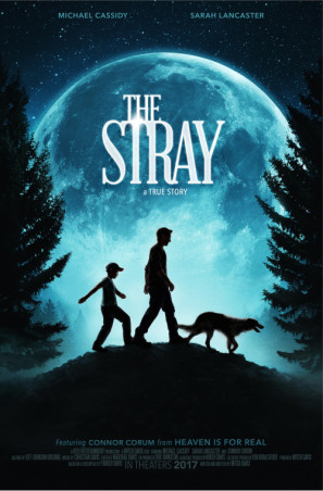 The Stray movie poster (2017) calendar