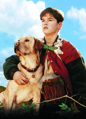 Far from Home: The Adventures of Yellow Dog movie poster (1995) poster