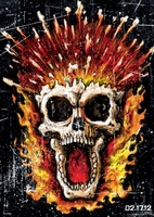 Ghost Rider: Spirit of Vengeance movie poster (2012) t-shirt #MOV_e6dcc404