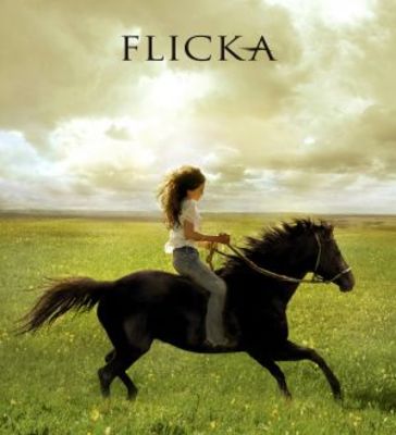 Flicka movie poster (2006) Sweatshirt
