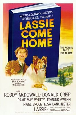 Lassie Come Home movie poster (1943) Poster MOV_e8f5be9e