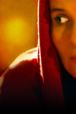 Mary movie poster (2005) hoodie
