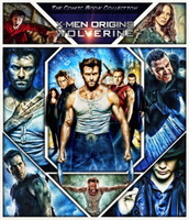 X-Men Origins: Wolverine movie poster (2009) t-shirt #MOV_emsv8td1