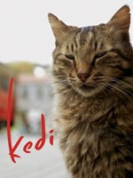 Kedi movie poster (2017) Poster MOV_eryds5k4